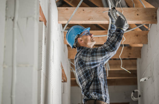 Best Home Electrical Repair  in Colchester, IL